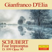 Gianfranco d'Elia - 4 Impromptus D. 899: No. 1 in C Minor