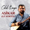 Aşikar