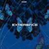 Experience - Single, 2022