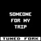 Someone for My Trip (feat. Rajagopal Srinath) - Tuned Fork lyrics