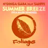 Summer Breeze (Fka Mash Remixes) - EP album lyrics, reviews, download