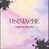 Usiniache - Single