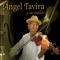 El Gusto Federal - Angel Tavira lyrics