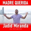 Madre Querida - Single