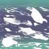 Inger Hannisdal - Seil - Sails