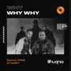 Why Why Why - Single album lyrics, reviews, download
