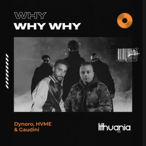 Dynoro, HVME & Gaudini - Why Why Why - 排舞 音乐