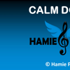 Hamie Pro - Calm Down (Rema's Pakx Afrobeat Chill Version) artwork