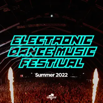 Electronic Dance Music Festival (Summer 2022) by Various Artists album reviews, ratings, credits