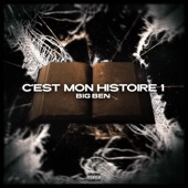 C'est mon histoire 1 artwork