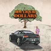 30m Liquid Dollars artwork