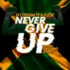 Never Give Up (feat. Singing Sweet) - Single album lyrics, reviews, download