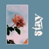 Stay - Single