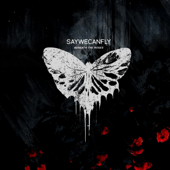 Beneath the Roses - SayWeCanFly
