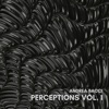 Perceptions Vol. 1 - EP