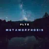 Stream & download Metamorphosis