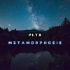 Metamorphosis - Single