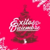 Gildardo Montoya - Diciembre Alegre