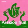 Passion Fruit - Single