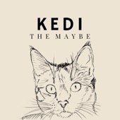 Kedi artwork
