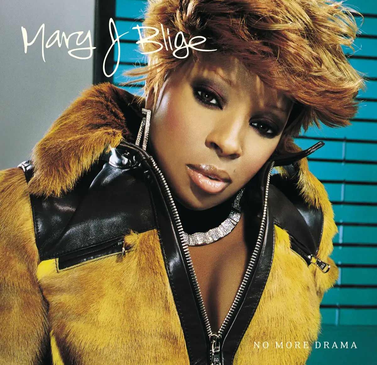 Mary J. Blige - No More Drama (Version 1) (2001) [iTunes Plus AAC M4A]-新房子