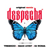 Despechx (Remix) artwork