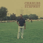 Charles Stepney - Surround Stereo