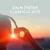 Stream & download Calm TikTok Classical Hits