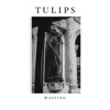 Tulips - Single