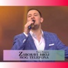 Zaboravi broj mog telefona (Live Cover) - Single, 2022