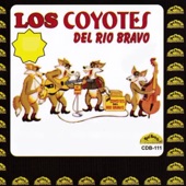 Poncho Villagomez y Sus Coyotes del Rio Bravo - La Mal Sentada