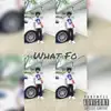 Stream & download What Fo - Single