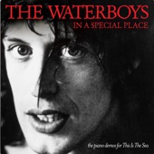 The Waterboys - Be My Enemy