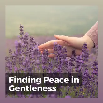 Finding Peace in Gentleness by Study Music & Sounds, Healing Yoga Meditation Music Consort & Zen album reviews, ratings, credits