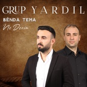 Ne Derim / Bênda Temâ artwork