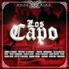 Stream & download Intro los Capo (Radio Version) [feat. Zion, Voltio, Guelo Star, Ñejo Y Dálmata, SYKO & De La Ghetto]