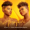 Alusafani (feat. Xowla, Mduduzi Ncube & Big Zulu) - Single