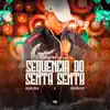 Stream & download O Puro Ritmo da Capital - Sequência do Senta Senta - Single