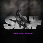Dark Horse Running artwork