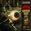 Stream & download Sentient (feat. Tone Spliff & C-Lance) - Single