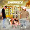 Amanhece na Dz7 (feat. MC Pipokinha) - Single album lyrics, reviews, download
