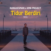 Tidur Berdiri (Remix) artwork