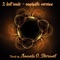 2 Lost Souls (feat. Amanda Storaunet) - Beam lyrics
