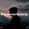 !!!" Rain Sounds to Study "!!! album lyrics, reviews, download
