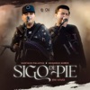 Sigo De Pie (En Vivo) - Single
