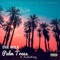 Palm Trees (feat. Audio King) - Dee Wile lyrics