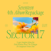 SEVENTEEN 4th Album Repackage 'SECTOR 17' cover