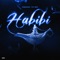 Habibi artwork