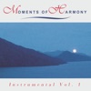 Moments of Harmony 1, 1993