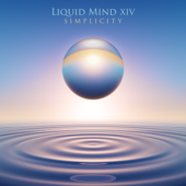 Liquid Mind XIV: Simplicity - Liquid Mind